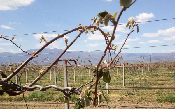 Μέτρα για τους αγρότες, τις επιχειρήσεις και τους εργαζόμενους ζητούν από τον πρωθυπουργό Τζιτζικώστας, Κασαπίδης, Αγοραστός