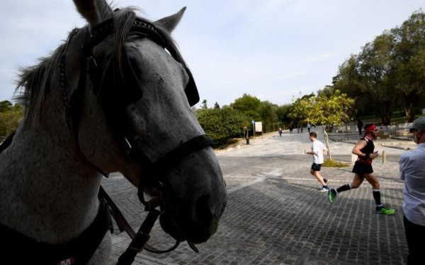 Απαγόρευση της εργασίας και της μεταφοράς των ιπποειδών σε συνθήκες καύσωνα