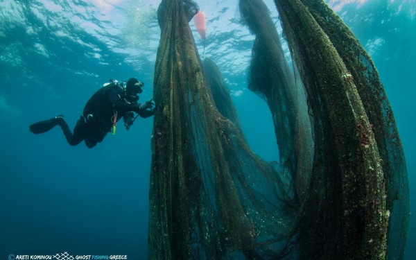 Εντυπωσιακές φωτογραφίες από την επιχείρηση «Λιγότερα δίχτυα περισσότεροι ιππόκαμποι»