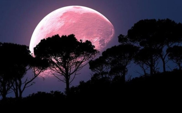 Απόψε και αύριο η «Ροζ Υπερπανσέληνος», το φωτεινότερο φεγγάρι του έτους
