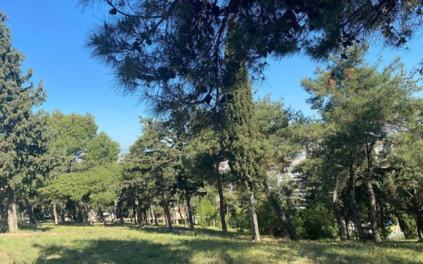 Απαγορεύσεις κυκλοφορίας αύριο για πεζούς και οχήματα σε Χαλκιδική, Πέλλα και Κιλκίς