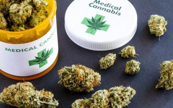 Η κάνναβη εναντίον του κορονοϊού: Η κανναβιδιόλη μπορεί να μειώνει τις πιθανότητες να κολλήσεις τον ιό