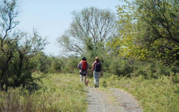 Έρχεται το Εθνικό Δίκτυο Μονοπατιών