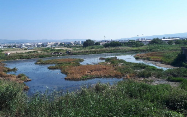 Καθαρίζει ο τοξικός… βάλτος της πόλης στα πρώην βυρσοδεψεία