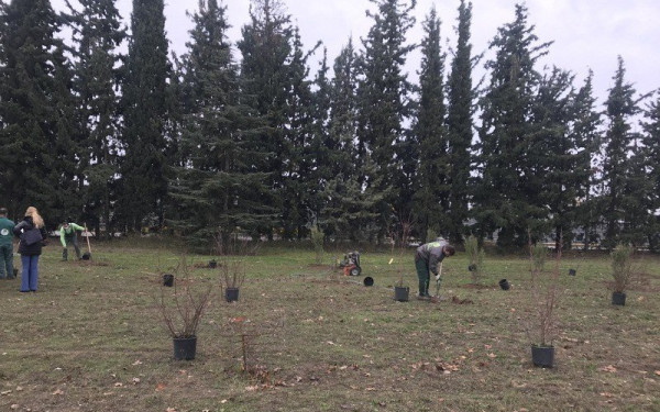 Επιμένει η περιφέρεια Αττικής για τα κλειστά πάρκα εν μέσω καύσωνα: Είναι για την προστασία των πολιτών