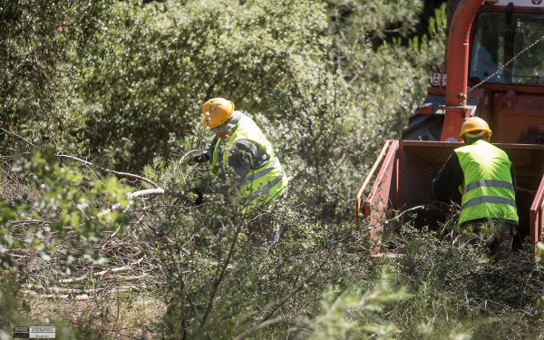 Ξεκινά την Πρωτομαγιά η αντιπυρική περίοδος - Μέχρι αύριο οι καθαρισμοί των οικοπέδων