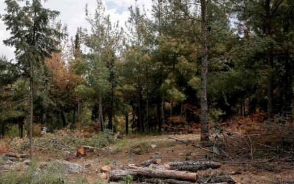 Θεσσαλονίκη: Ορεινός αγώνας βουνού την Κυριακή στο Σέιχ Σου