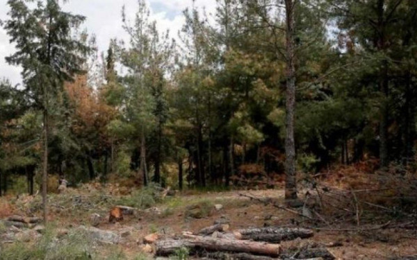 Στο Σέιχ Σου για αυτοψία στις εργασίες καθαρισμού ο Α. Τζιτζικώστας