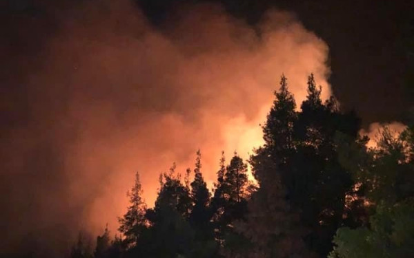 Χαλκιδική: Οριοθετήθηκε η φωτιά στο Ν. Μαρμαρά - Δείτε εικόνες και βίντεο από την πυροσβεστική επιχείρηση  