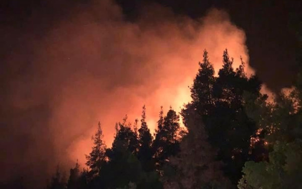 Ευγνώμων σε Ιταλία και Ελλάδα για τη βοήθειά τους στη φωτιά της Κύπρου δηλώνει ο Επίτροπος Διαχείρισης Κρίσεων της ΕΕ