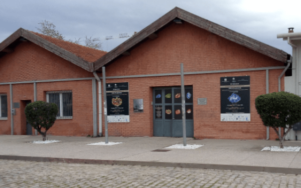 Αριστοτέλειο Μουσείο Φυσικής Ιστορίας. Ο προβληματισμός και οι προσπάθειες χωρίς αντίκρισμα για το μέλλον του