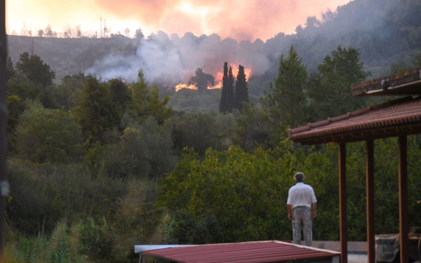 Σε απόγνωση οι πυρόπληκτοι της Αρχαίας Ολυμπίας - Από τον Αύγουστο δεν έχουν λάβει αποζημιώσεις (βίντεο)