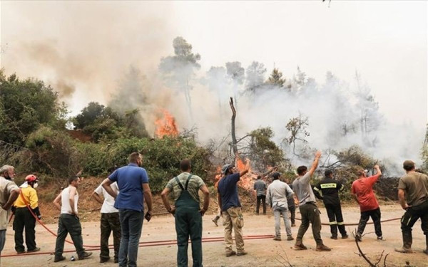 Πυρόπληκτοι στο στόχαστρο απατεώνων – Προσφέρουν στέγαση για να αποσπάσουν χρήματα (Βίντεο)