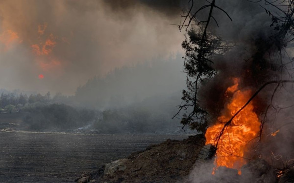 Αντιμέτωπη με 33 πυρκαγιές η πυροσβεστική σε ένα 24ωρο