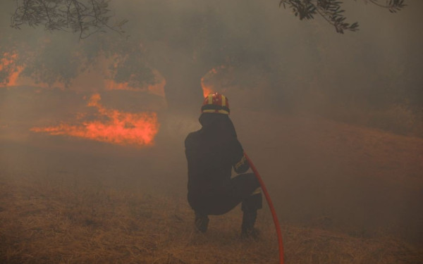 Ολονύχτια μάχη με τις φλόγες δίνουν οι πυροσβέστες στη Φθιώτιδα (βίντεο & φωτ.)