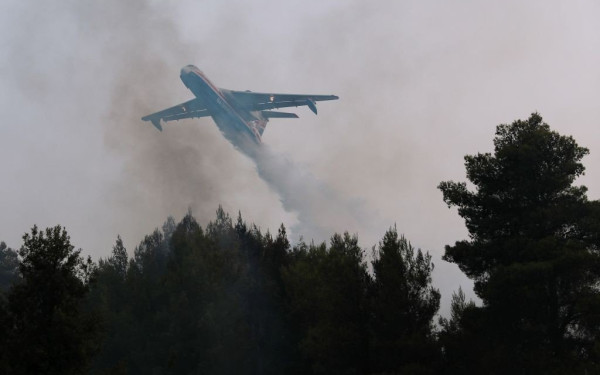 Πέλλα: Καλύτερη η εικόνα στη δασική φωτιά στη Σκύδρα