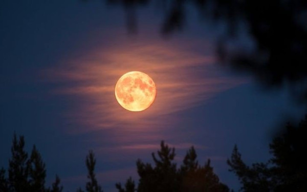 Θεσσαλονίκη: Αύγουστος στο Μουσείο Βυζαντινού Πολιτισμού - Οι Πολιτιστικές εκδηλώσεις