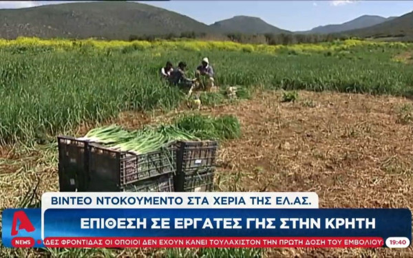 Επιτέθηκαν με όπλα σε εργάτες γης στην Κρήτη (βίντεο)