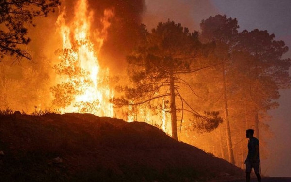 Φωτιά στην Ουάσιγκτον: Απειλούνται σπίτια, ζώα και ένα αγωγός αερίου