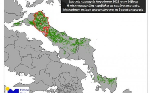 Tεράστιας έκτασης η οικολογική καταστροφή στην Εύβοια - Κάηκε το 1/3 των δασών