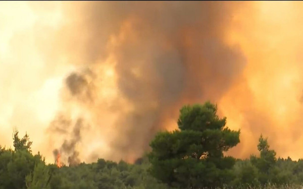 Νέα πύρινα μέτωπα σε Ηλεία, Φαιστό, Πτολεμαΐδα και Ελάτεια - Απειλείται και ο εθνικός Δρυμός της Βάλια Κάλντα