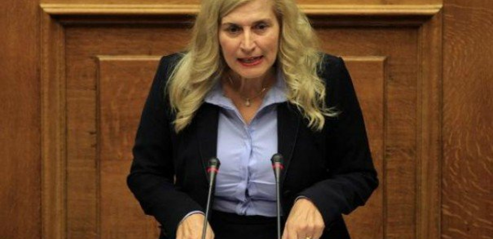 Αυλωνίτου: Ο Μητσοτάκης λέει ανοησίες