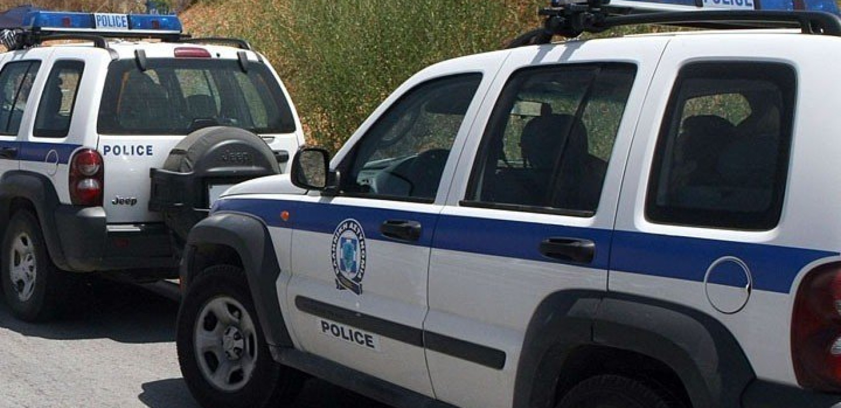 Καφενείο "οπλοστάσιο" και χασισοφυτεία στην Κράψη Ιωαννίνων