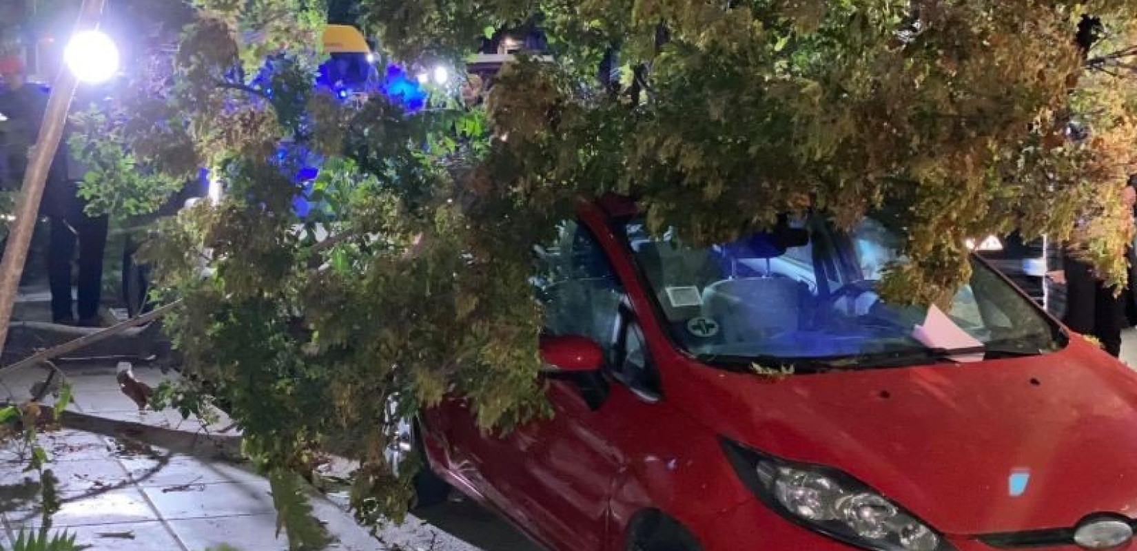 Θεσσαλονίκη: Δέντρο πλάκωσε σταθμευμένα αυτοκίνητα  Θεσσαλονίκη: Δέντρο πλάκωσε σταθμευμένα αυτοκίνητα