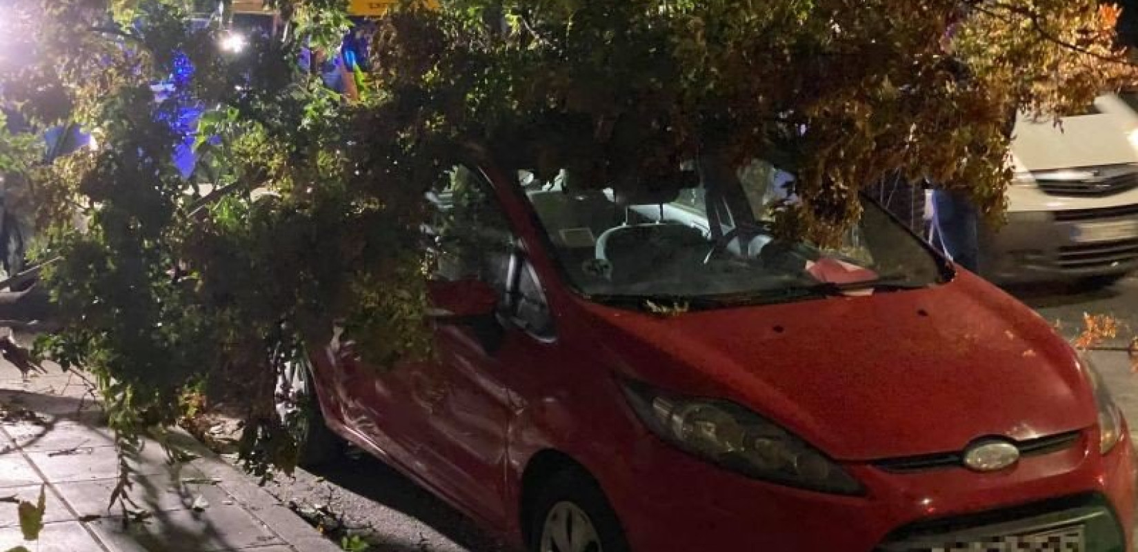 Πιερία και Ημαθία στο επίκεντρο της «Αθηνάς» - Πτώσεις δέντρων στη Θεσσαλονίκη - Στα λευκά ο Όλυμπος (Βίντεο-Φωτ.)