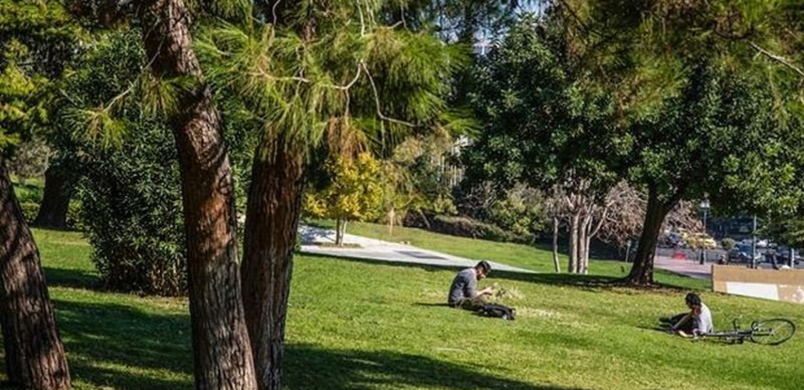 Γιατί η Θεσσαλονίκη χρειάζεται χώρους υψηλού πρασίνου
