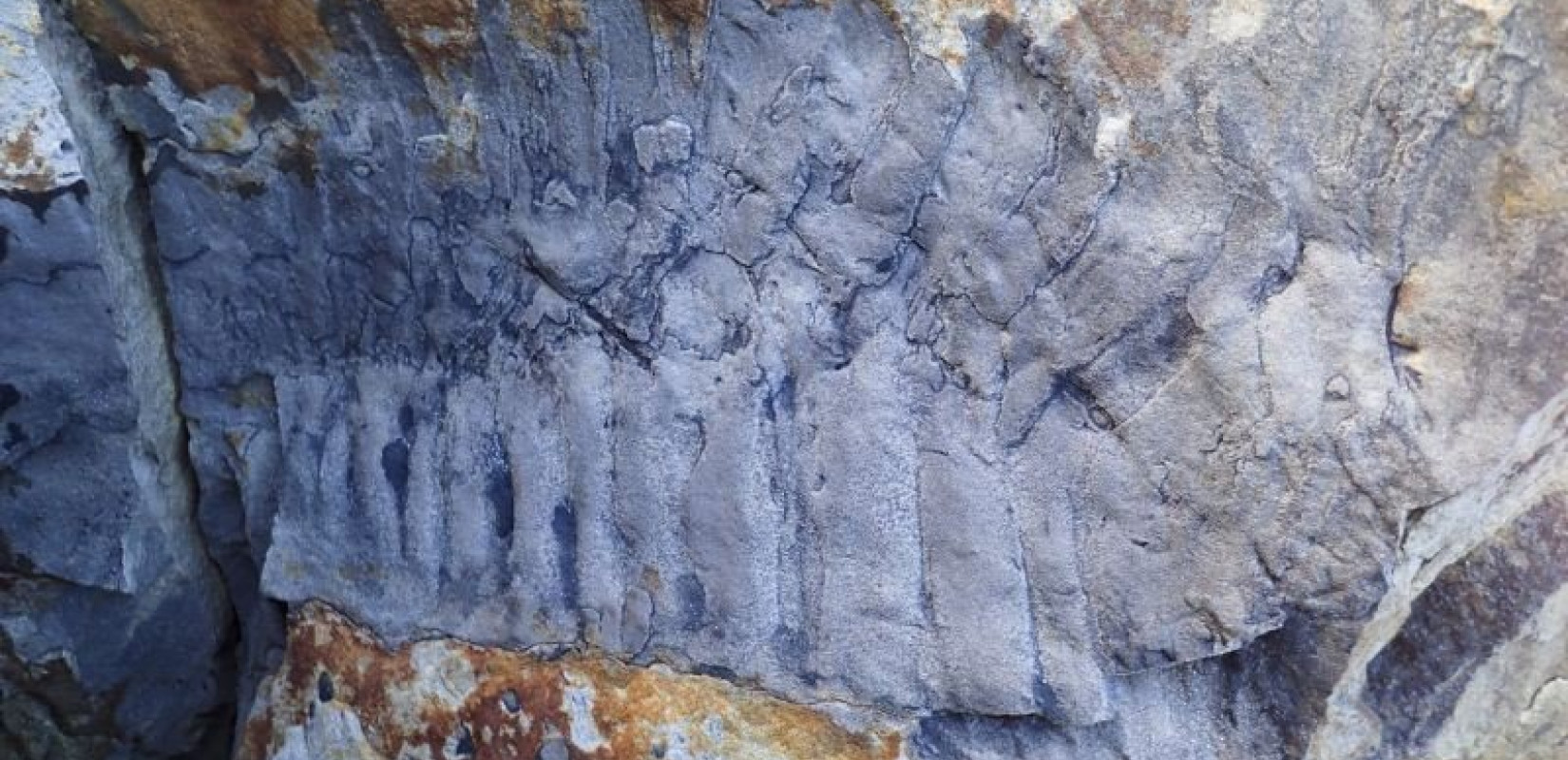 Ανακαλύφθηκε στην Αγγλία γιγάντιο απολίθωμα «σαρανταποδαρούσας» μεγάλης σαν αυτοκίνητο!