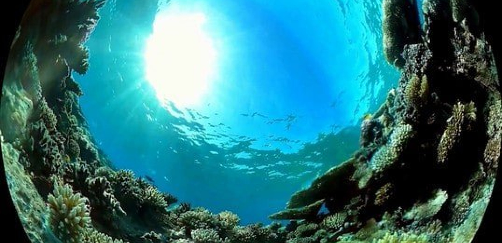 Η «Όπερα του Διαστήματος» και ένα θαυμαστό ταξίδι στο ΝΟΗΣΙΣ (Φωτό)