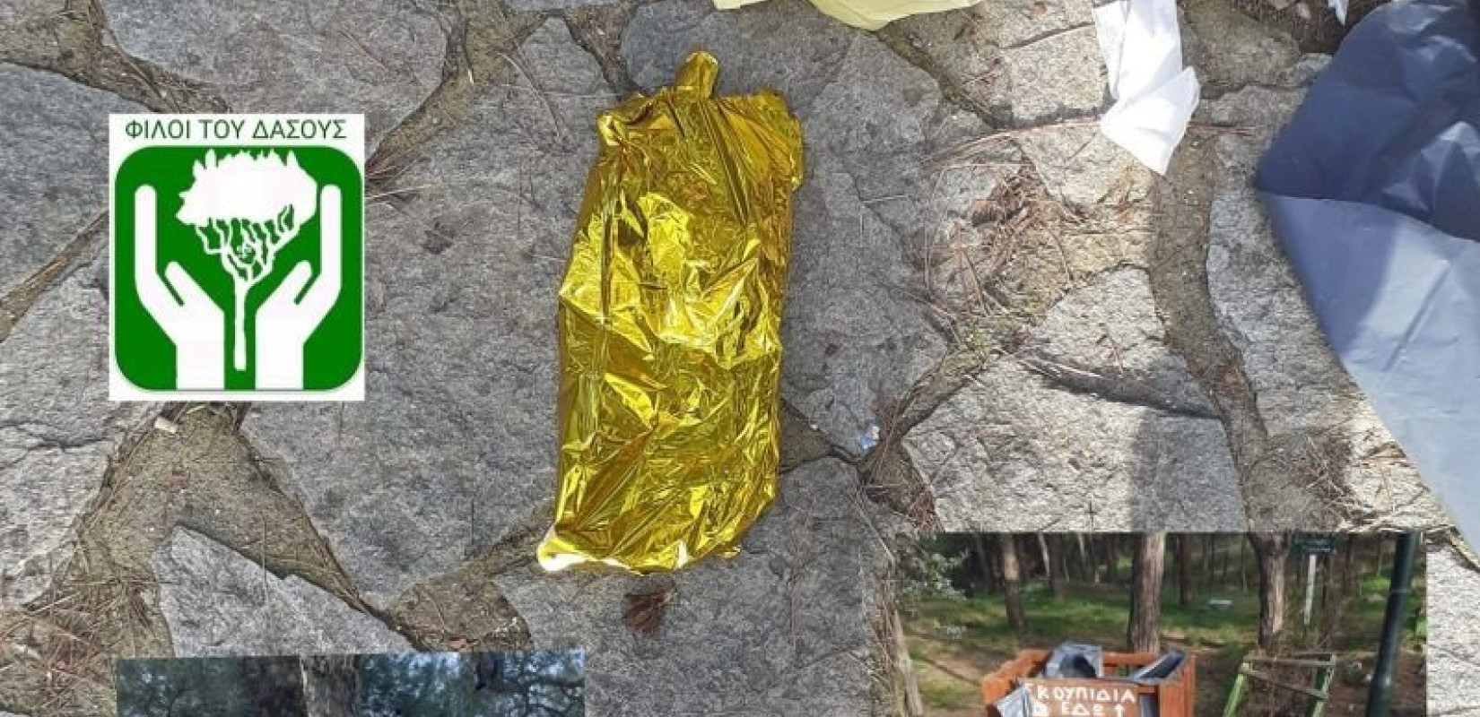 «Φίλοι του Δάσους»: Γέμισε σκουπίδια το άλσος Μετεώρων