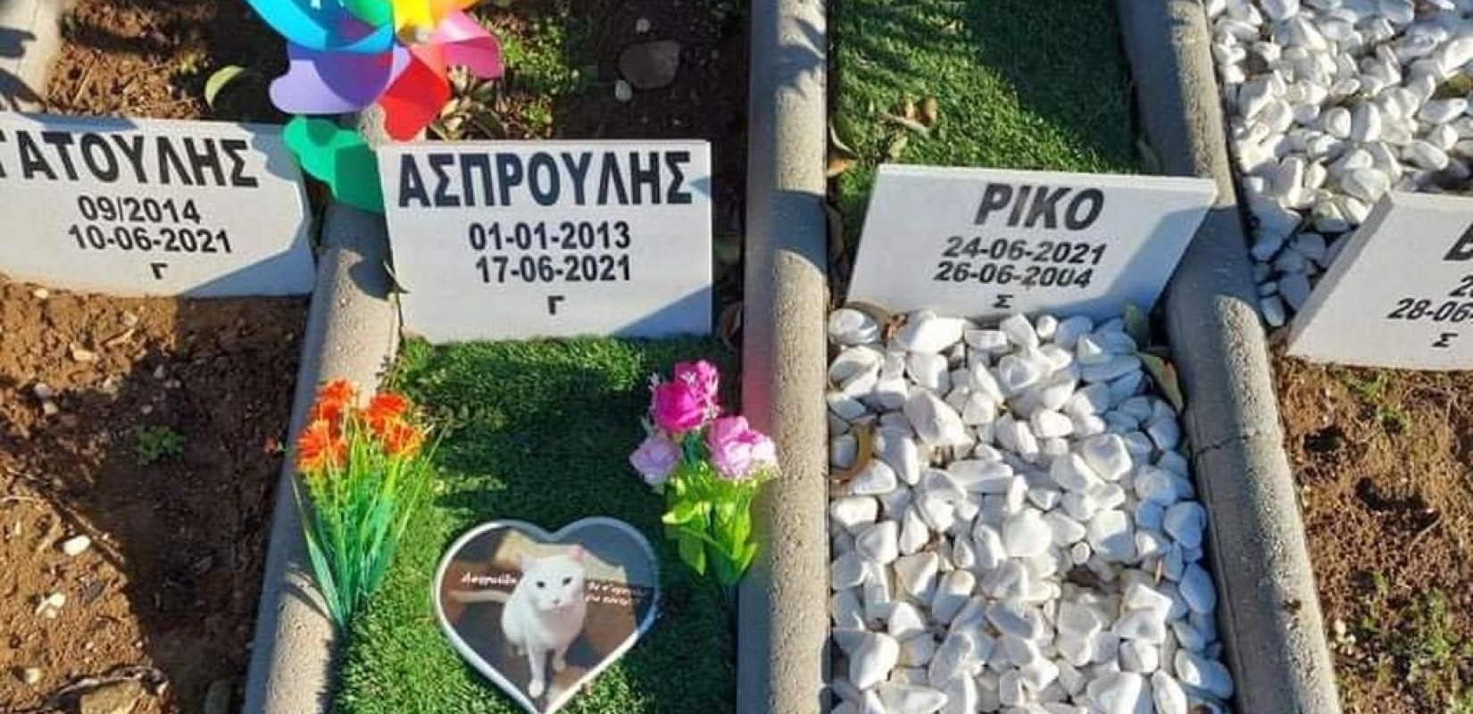 Έρχεται αποτεφρωτήριο μικρών ζώων στη Θεσσαλονίκη (φωτ.)