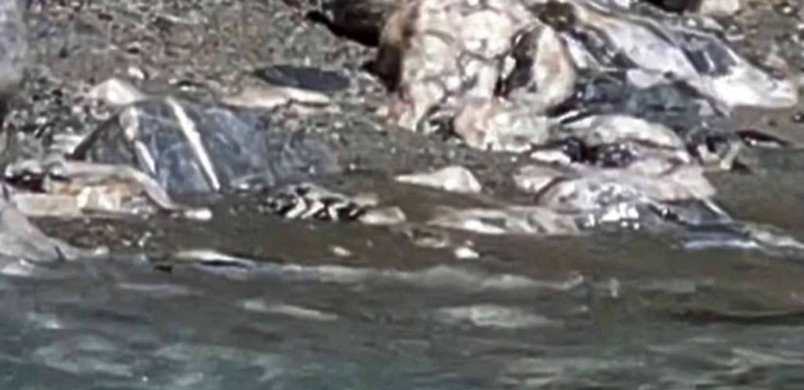 Σώθηκε η «Εύη» και επέστεψε στον βυθό της Γυάρου