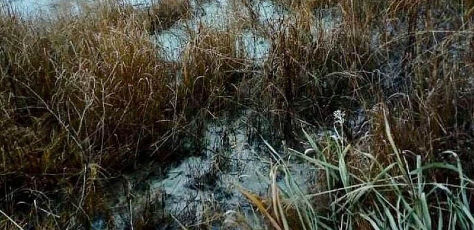 Θεσσαλονίκη: 36χρονη πετούσε ανεξέλεγκτα βοθρολύματα σε ρέμα στα ανατολικά