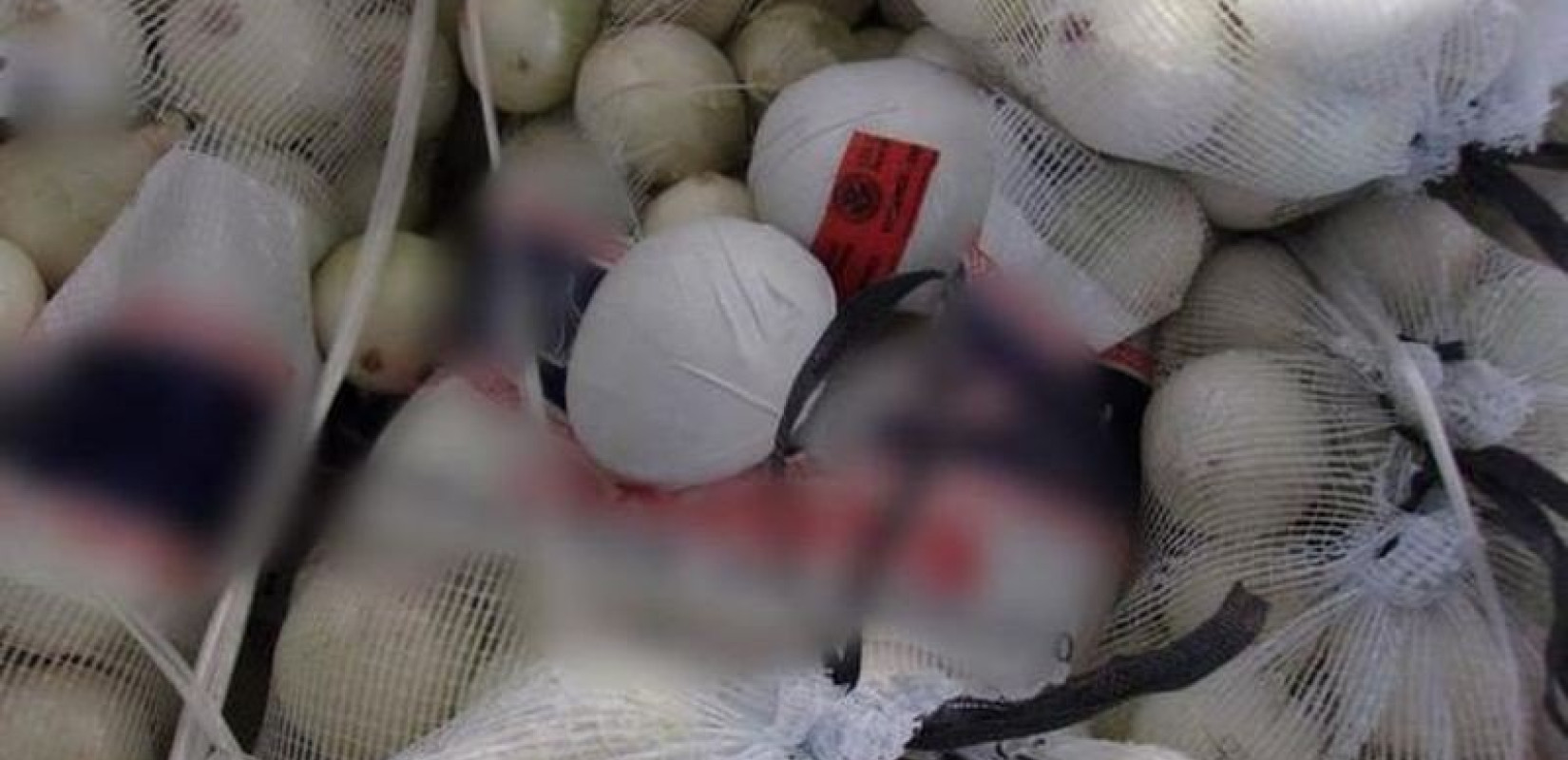 Μεξικό: Μεταμφίεσαν ναρκωτικά σε... λευκά κρεμμύδια (Φωτ.)