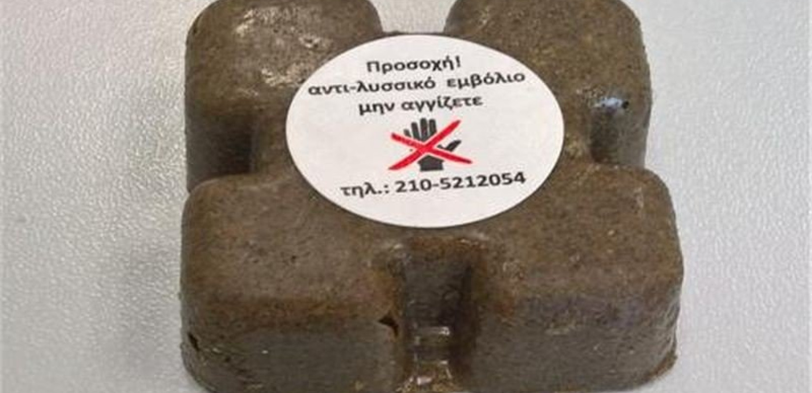 ΠΚΜ: Τον Απρίλιο ο αντιλυσσικός εμβολιασμός κόκκινων αλεπούδων για την άνοιξη του 2022