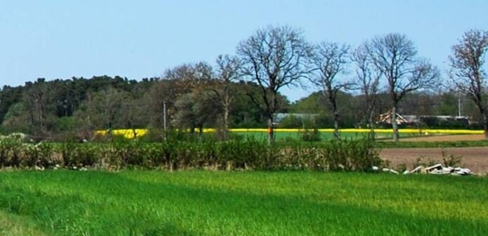 ΟΣΔΕ 2025: Ανοίγει η πλατφόρμα myBusinessSupport τον Μάρτιο για διορθώσεις σε αγροτεμάχια έως 20 στρέμματα