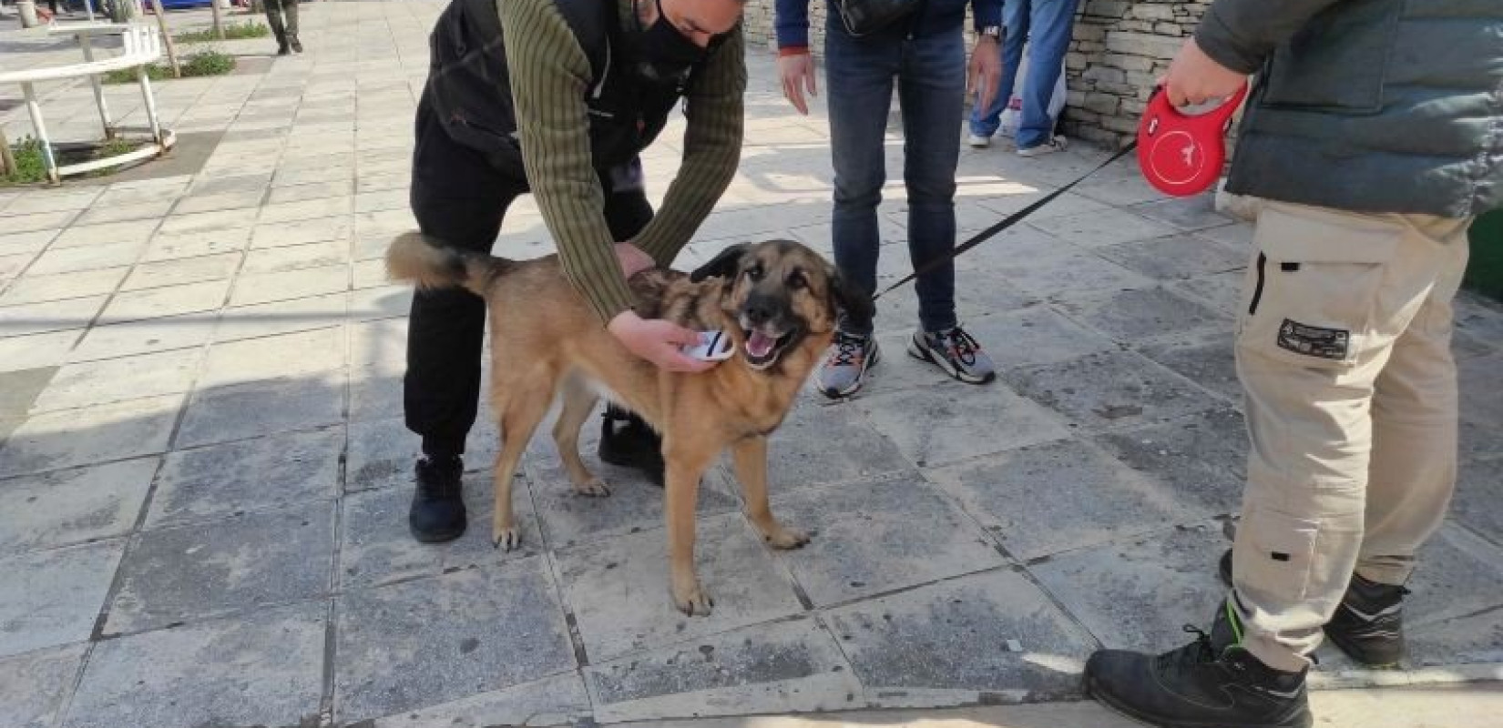 Θεσσαλονίκη: Έλεγχοι σε ιδιοκτήτες ζώων - Οκτώ πρόστιμα για βόλτα σκύλου χωρίς λουρί Θεσσαλονίκη: Έλεγχοι σε ιδιοκτήτες ζώων - Οκτώ πρόστιμα για βόλτα σκύλου χωρίς λουρί