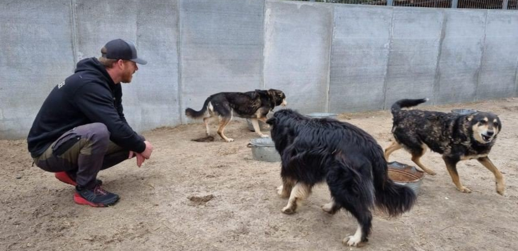 Πόλεμος Ουκρανία: Εκατοντάδες σκυλιά πέθαναν από την πείνα σε καταφύγιο αδέσποτων (βίντεο)