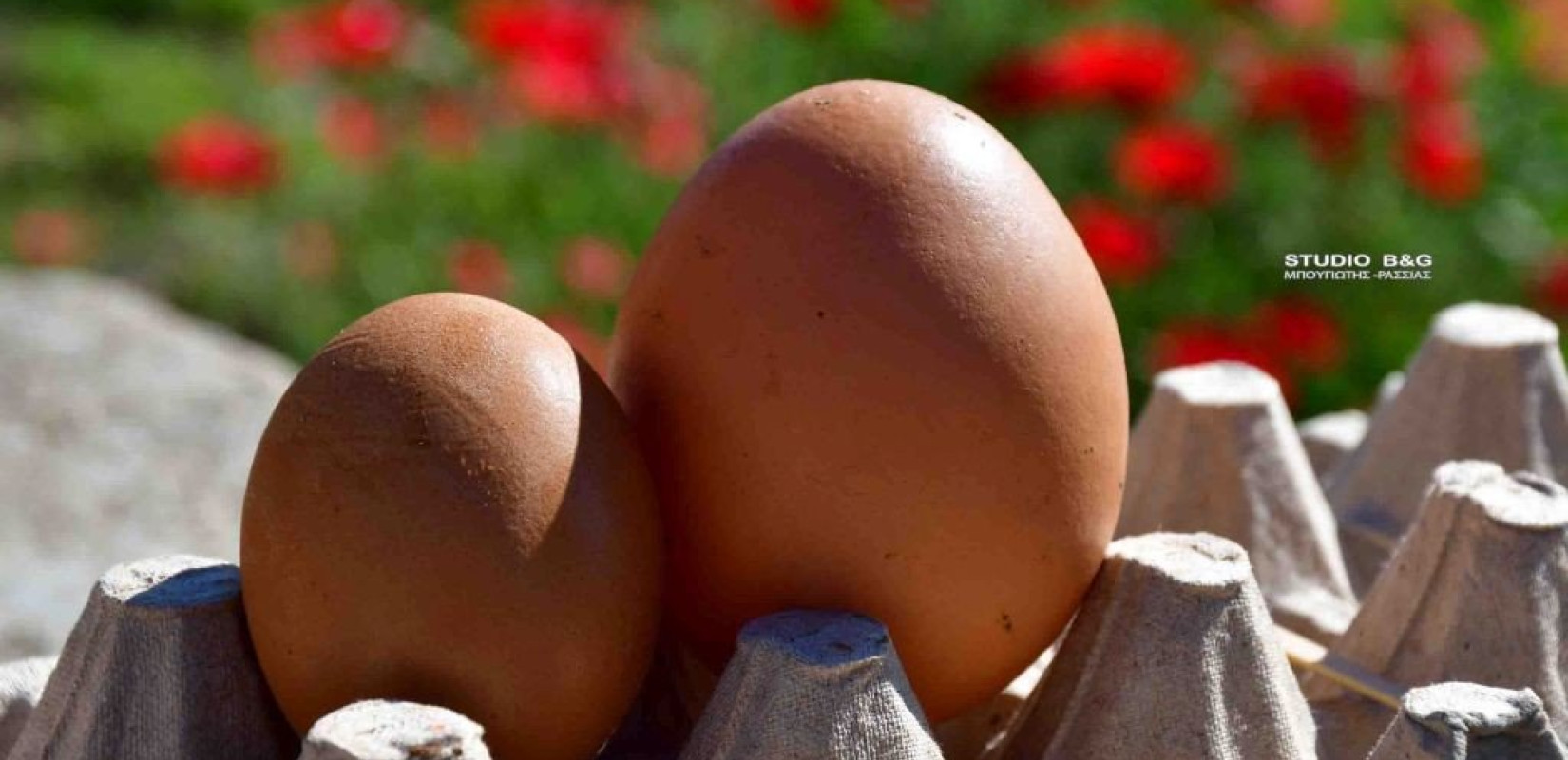 Μπορούμε να τρώμε βραστό αυγό κάθε μέρα; Τι γίνεται όταν υπάρχει υψηλή χοληστερίνη;