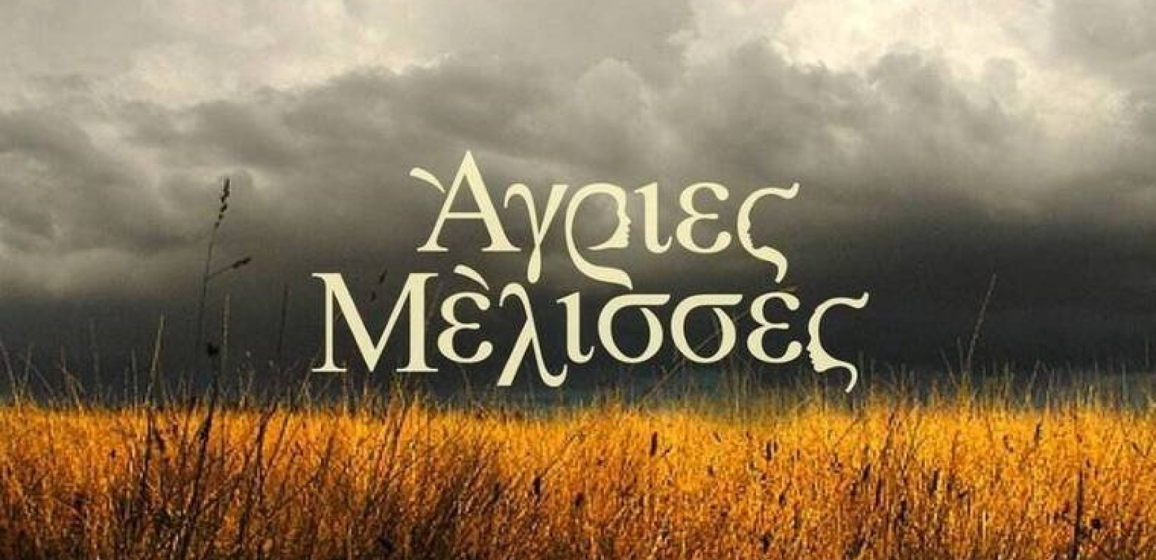 «Μετάνιωσα που δεν έπαιξα στις Άγριες Μέλισσες - Νόμιζα θα κοπεί τον πρώτο μήνα» (βίντεο)