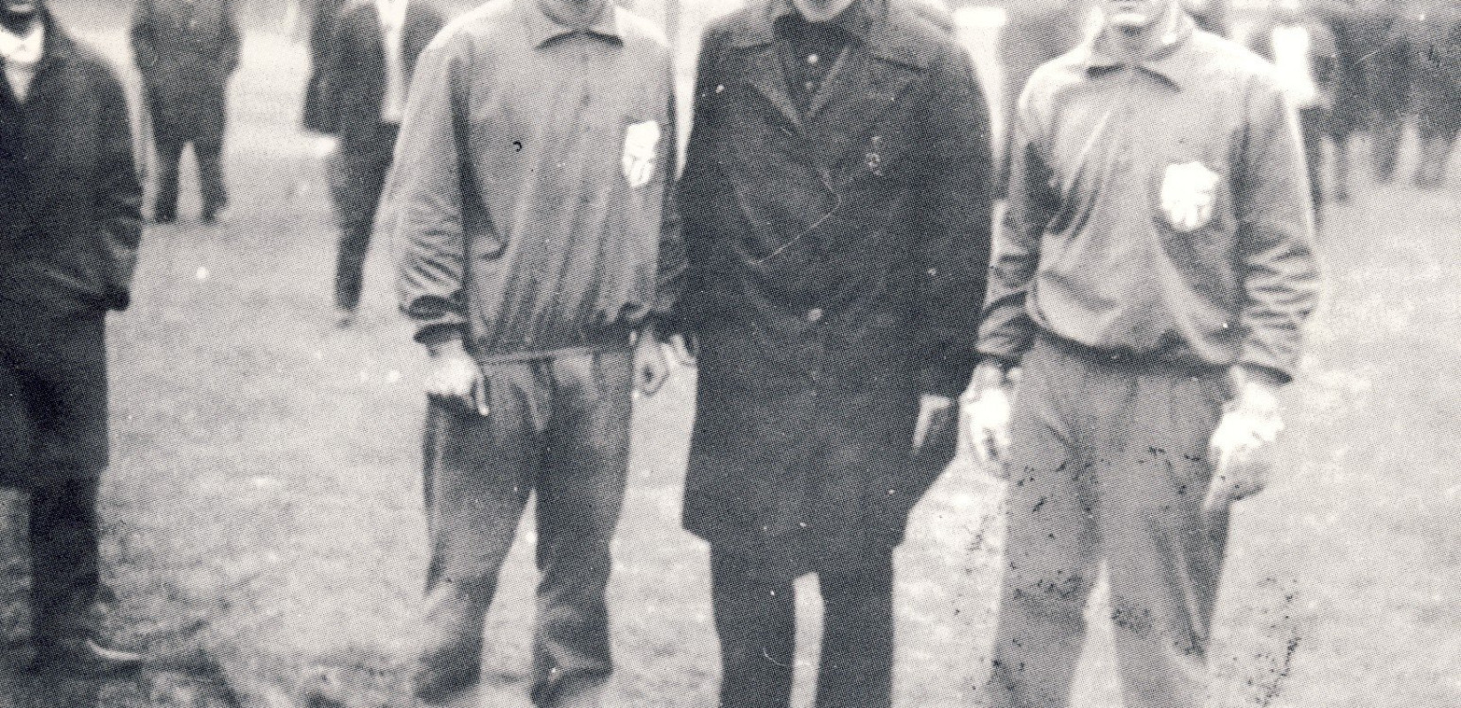 Ντεμπούτο στη Βιέννη