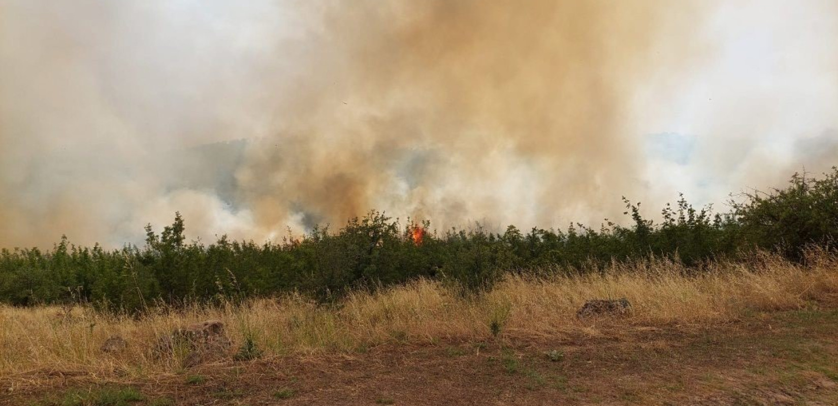 Υπό μερικό έλεγχο η φωτιά στη Σκύδρα (βίντεο)