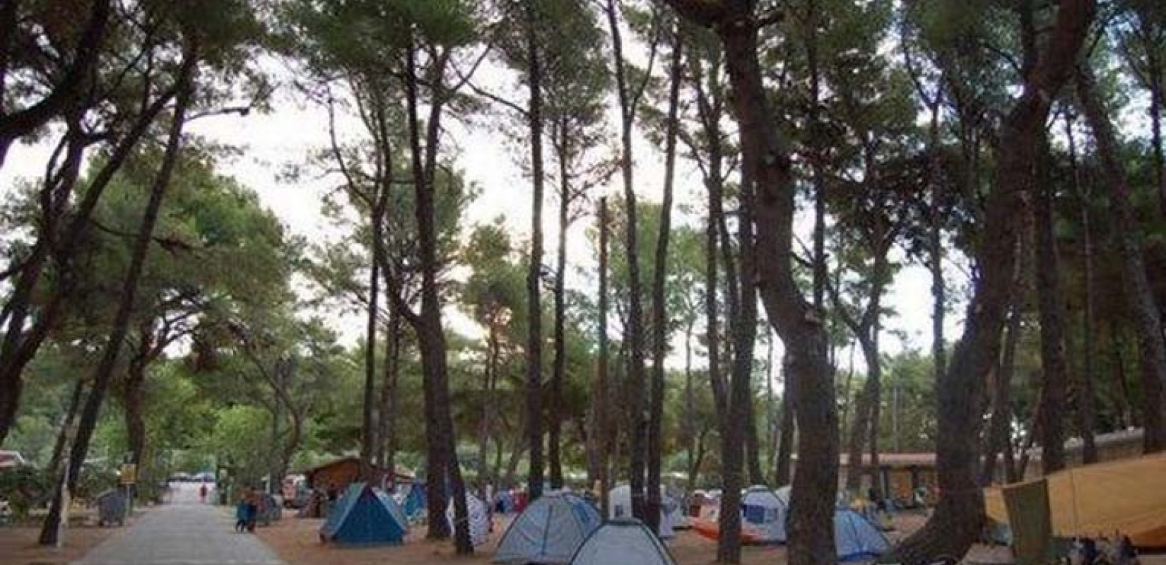 Υπουργείο Κοινωνικής Συνοχής: Σύσταση για επιφυλακή σε κατασκηνώσεις και δομές φροντίδας, λόγω του ακραίου κινδύνου πυρκαγιάς