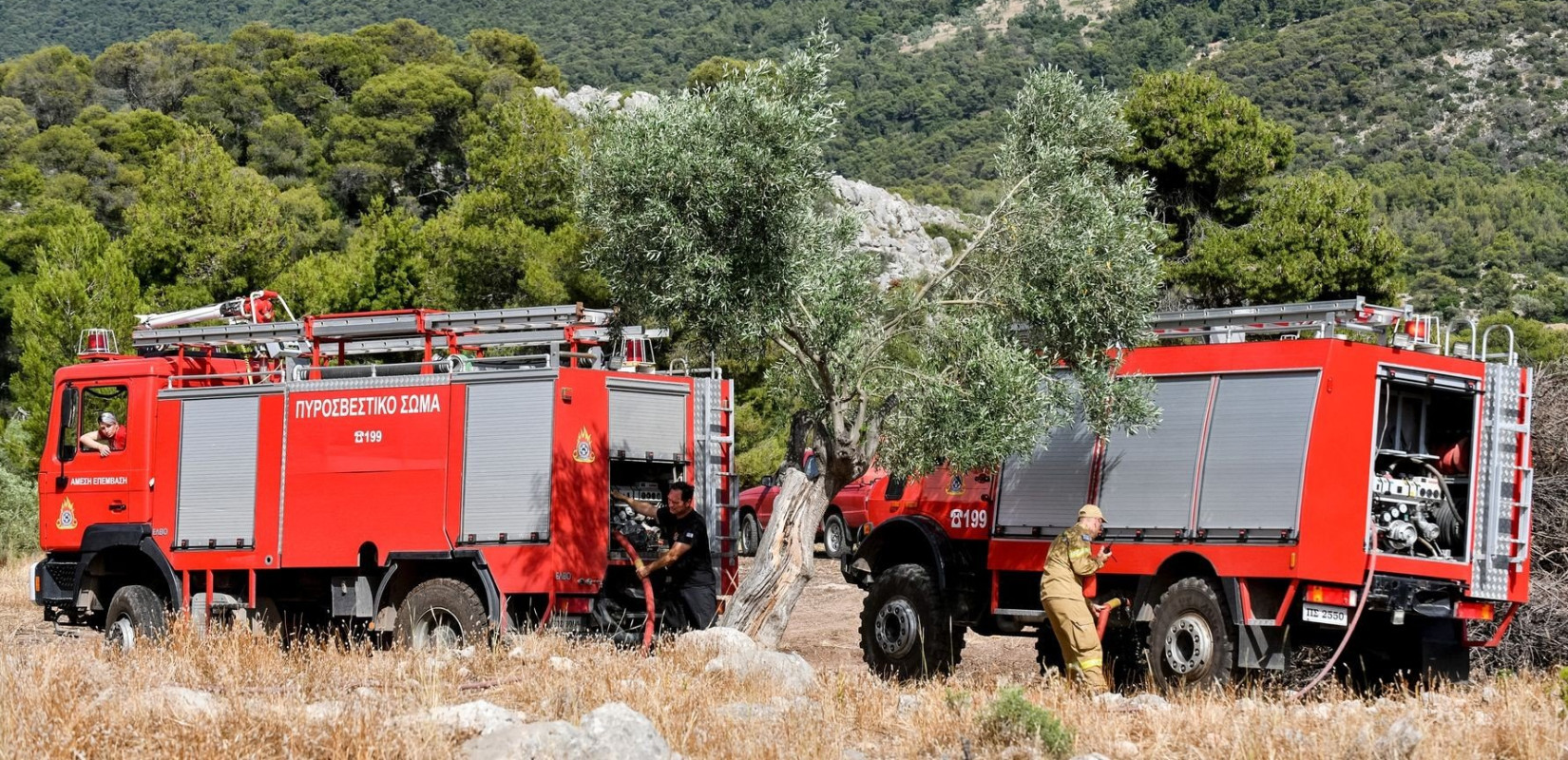 Χαλκιδική: Απαγόρευση κυκλοφορίας σε τέσσερις δασικές περιοχές λόγω υψηλού κινδύνου πυρκαγιάς (χάρτης)