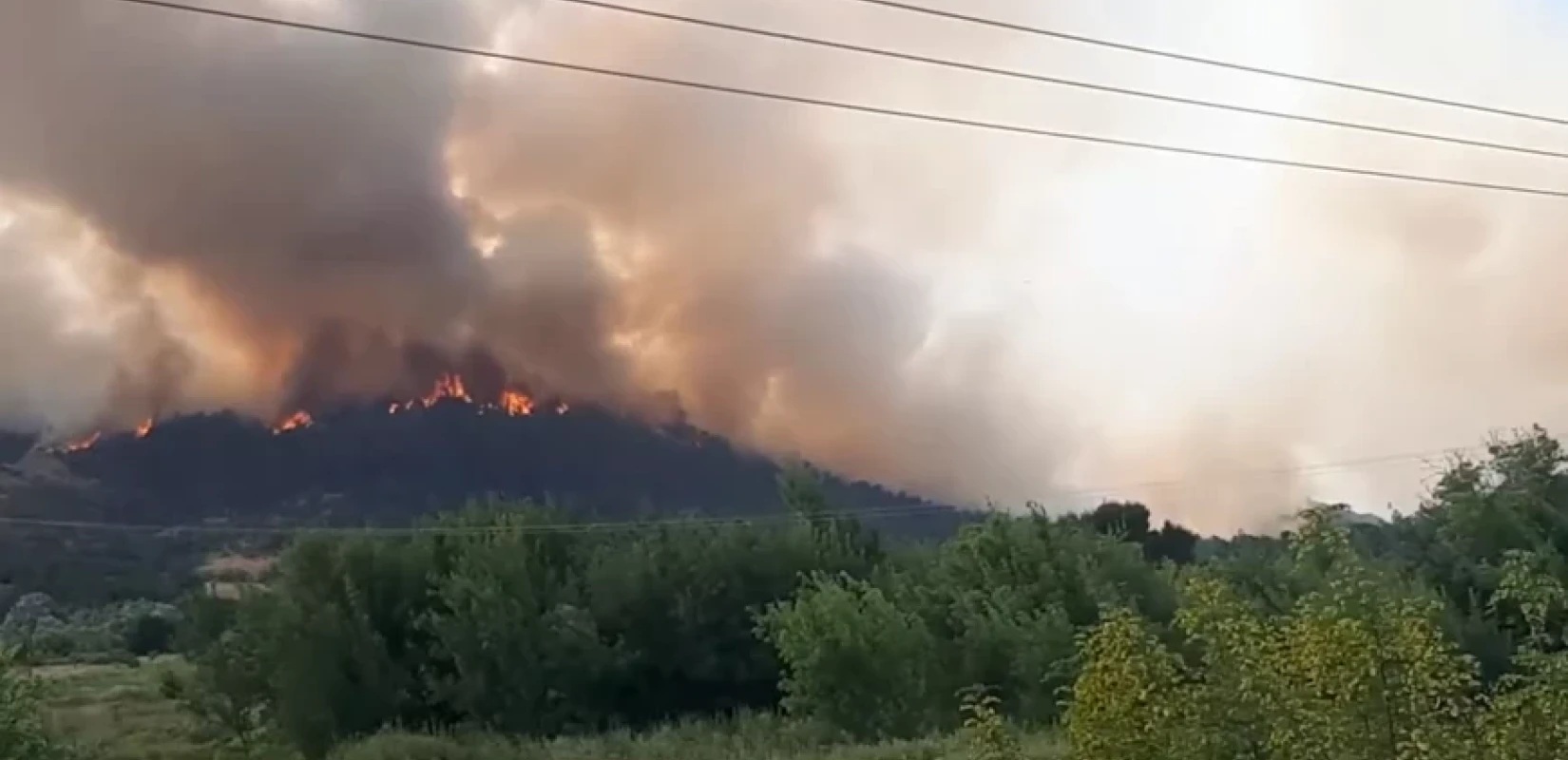 Δάσος Δαδιάς: Ο θησαυρός που «καταπίνουν» οι φλόγες Δάσος Δαδιάς: Ο θησαυρός που «καταπίνουν» οι φλόγες