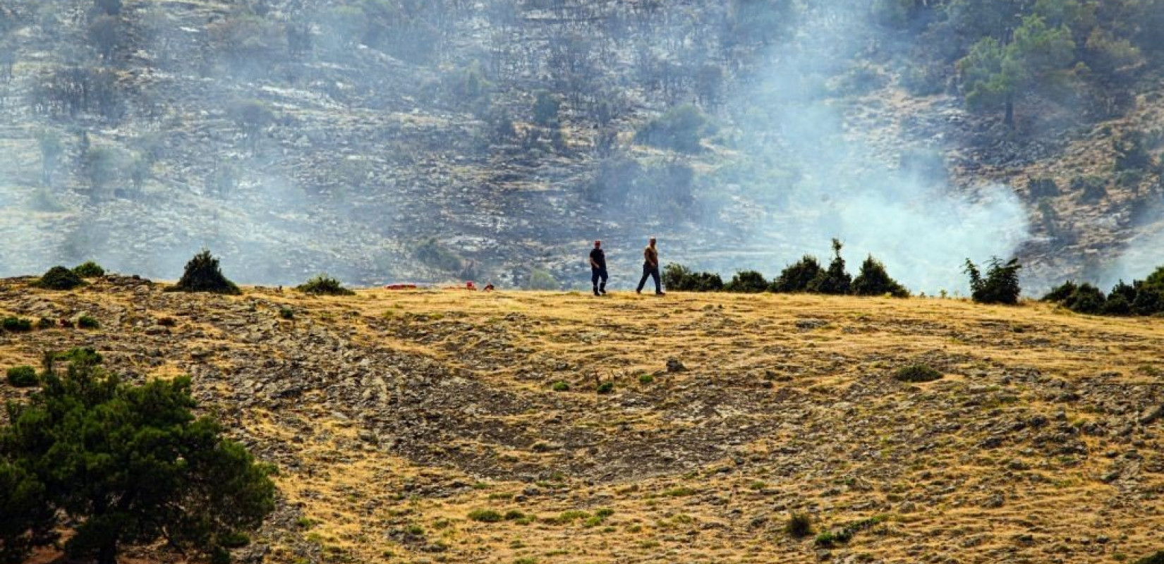 Έβρος: Επιστολή για τα αιολικά πάρκα στη Δαδιά