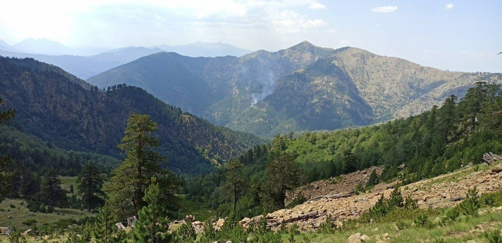 Έσβησε μετά από 16 ημέρες η φωτιά στον εθνικό δρυμό της Βάλια Κάλντα